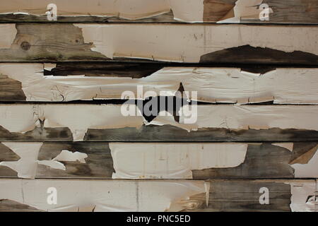 Affitti di proprietà commerciale in totale disriparazione. Foto Stock