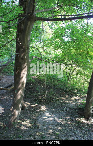 Grosse Pointe Faro e a terminazione aperta kid's swing corda come visto dal di sopra, situato sul Lago Michigan lago proprietà. Foto Stock