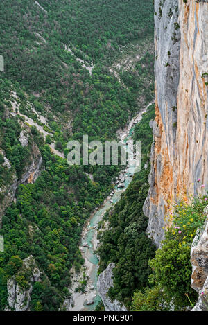 Vista in Gorges du Verdon / Verdon Gorge canyon dal belvedere lungo la Route des Crêtes, Alpes-de-Haute-Provence, Provence-Alpes-Côte d'Azur, F Foto Stock