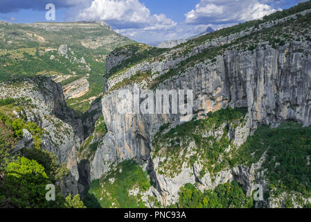 Gorges du Verdon / Verdon Gorge canyon, Alpes-de-Haute-Provence, Provence-Alpes-Côte d'Azur, in Francia Foto Stock