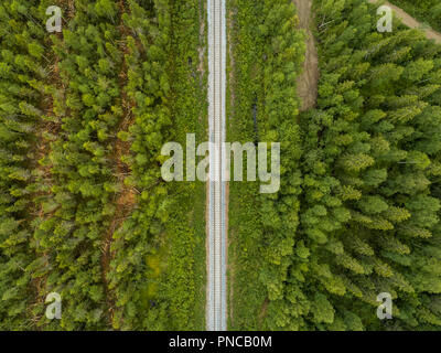 Svuotare il binario ferroviario nella foresta vista dal cielo, la Finlandia settentrionale Foto Stock