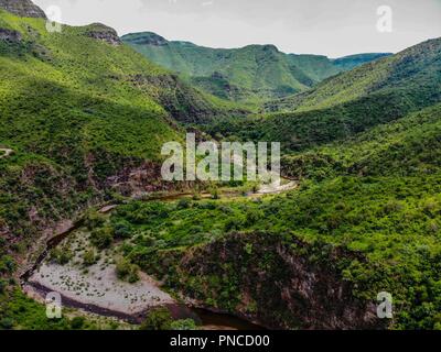 Vista aerea. Verde paisaje y arroyo en onu nublado dia, duranti Expedición scoperta Madrense en La Mesa Tres Rios, Sonora Messico. Sierra Madre Occiden Foto Stock