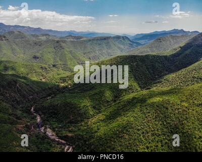 Vista aerea. Verde paisaje y arroyo en onu nublado dia, duranti Expedición scoperta Madrense en La Mesa Tres Rios, Sonora Messico. Sierra Madre Occiden Foto Stock