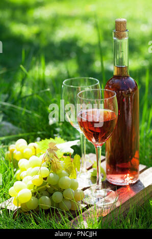 Rose bottiglia di vino, bicchieri e uva. Outdoor in vigna con spazio per il testo Foto Stock