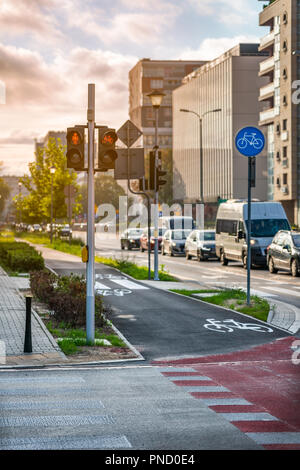 Percorso in bicicletta - segnaletica orizzontale e verticale. Luce rossa Foto Stock