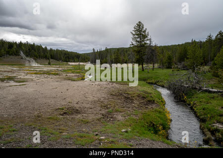 Scenario di Prato nel Parco Nazionale di Yellowstone offre una primavera calda fiume su un nuvoloso giorno Foto Stock