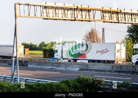 FAENZA (RA), Italia - 20 settembre 2018: carrello con logo di Amadori in esecuzione su autostrada Foto Stock