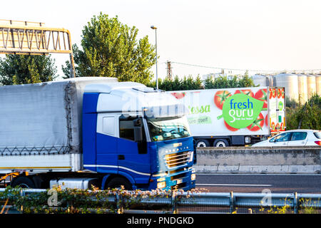 FAENZA (RA), Italia - 20 settembre 2018: carrello con logo FRESHGURU in esecuzione su autostrada Foto Stock