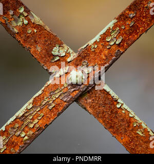 Di ferro arrugginito parti di un vecchio ponte con peeling e sfald vernice chip nella forma di una X nelle Montagne Adirondack, NY USA. Foto Stock