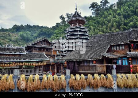 Un vecchio villaggio di Dong minoranza nel Guizhou in Cina con i tradizionali della torre del tamburo in background e sheafs di riso essiccazione su sun. Foto Stock