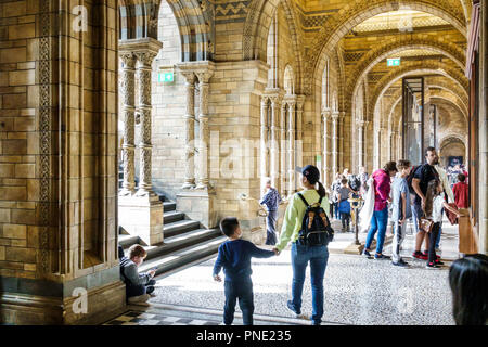 Londra Inghilterra,UK,Regno Unito Gran Bretagna,Kensington,Museo di Storia Naturale,interni,corridoio,Asian Asians etnia immigrati Mino Foto Stock