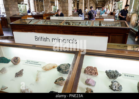 London England,UK,Kensington,Natural History Museum,Inside interior,British minerals exhibition collection gallery,Oak display cabinet,UK GB Foto Stock