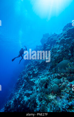 I subacquei godendo drift diving. Isola di Yap Gli Stati Federati di Micronesia Foto Stock