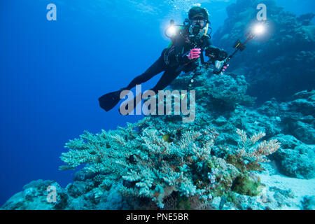 Un subacqueo tenendo fotografia subacquea. Isola di Yap Gli Stati Federati di Micronesia Foto Stock