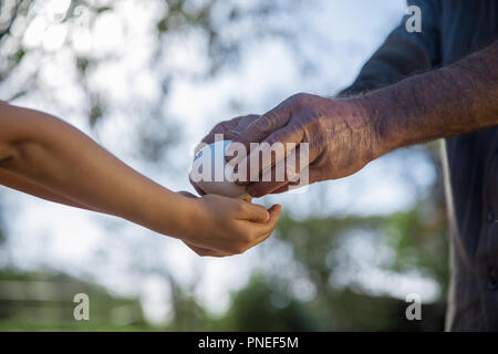 I bambini tenere in mano l'uovo di pollo o di anatra in fattoria Foto Stock