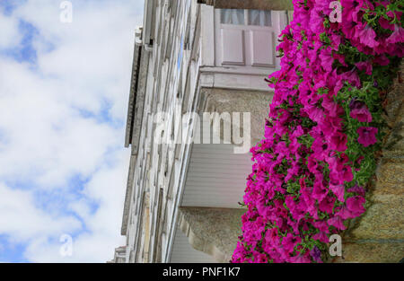 Tipico galiziano galerias, bianco racchiuso balconi in legno e vetro, accanto a fiori viola e un cielo blu con nuvole in Betanzos, Spagna Foto Stock