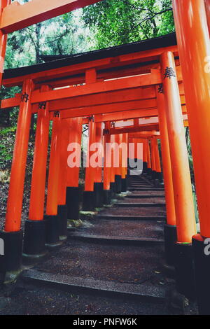 Kyoto, Kyoto, Cina. Xxi Sep, 2018. Kyoto, Japan-Fushimi inari Taisha è in testa al santuario del dio Inari, situato in Fushimi Ward a Kyoto, in Giappone. Il santuario sorge alla base di una montagna denominata anche Inari che è 233 metri (764 ft) sopra il livello del mare e comprende sentieri fino alla montagna per molti piccoli santuari che span 4 chilometri (2,5 mi) e richiede circa 2 ore per camminare fino a. In primo luogo, Inari è il dio di riso, ma anche i mercanti e i produttori hanno tradizionalmente adorato Inari come patrono di business. Ciascuno dei torii a Fushimi Inari Taisha è stato donato da un Foto Stock