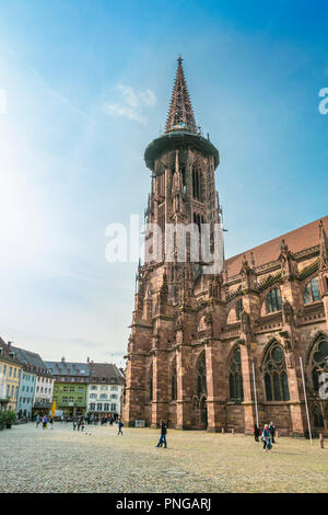 Freiburg Minster. Cattedrale. Freiburg. Freiburg im Breisgau. Foresta Nera. Baden Wurttemberg. Germania Foto Stock