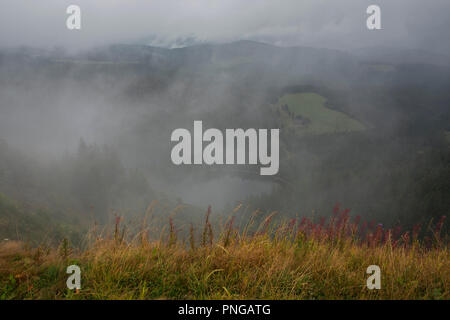 Vista dal Monte Feldberg. Feldsee lago. Foresta Nera. Baden-Wuerttemberg, Germania, Europa Foto Stock