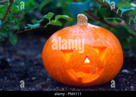 Luminose fotografia di zucca intagliata con cena a lume di candela a circondato da piante. Foto Stock