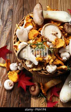 Varietà di materie di funghi su un tavolo di legno. chanterelle, ostriche e altri funghi freschi Foto Stock