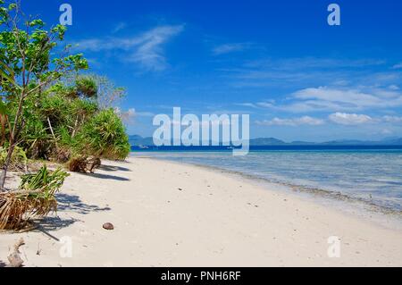 Una spiaggia tropicale sfondo della scena nel Sud delle Filippine, sull isola di Palawan. Foto Stock
