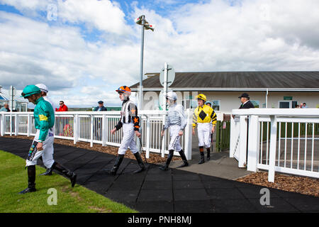 Fantini immettere la sfilata anello nella loro sete a Ffos Las racecourse prima dell'inizio di una corsa Foto Stock