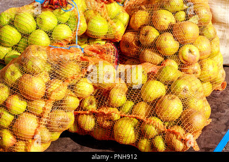 Una nuova consegna per un tedesco sidro cantina - Net sacchi pieni di belle mele fresche. Foto Stock