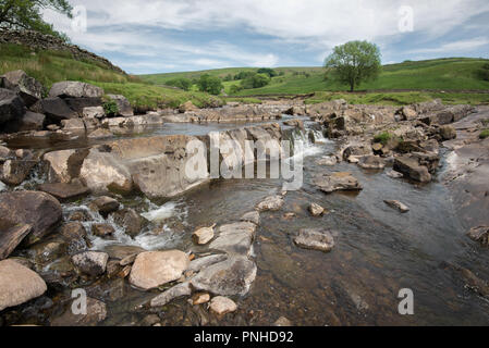 Barbon Beck Foto Stock