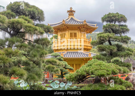 Padiglione d'oro all'interno del Giardino Nan Lian in Hong Kong Foto Stock