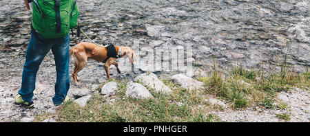 Addestramento del cane nel fiume per la ricerca e il salvataggio dei popoli Foto Stock