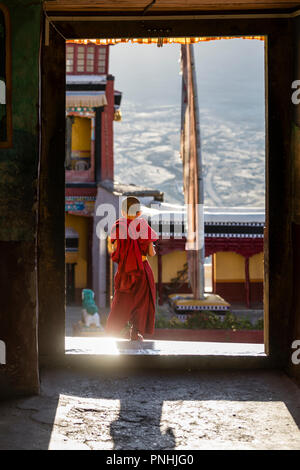 Giovane monaco presso il monastero di Thiksey in Ladakh regione dell India Foto Stock