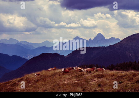 Giorno nuvoloso nelle montagne delle Alpi Carniche, provincia di Udine, Friuli Venezia Giulia, Italia Foto Stock