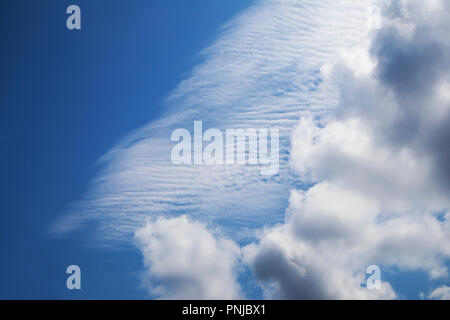 White cumulus e spindrift nuvole contro profondo cielo blu, luminoso bellissimo sfondo atmosferica Foto Stock