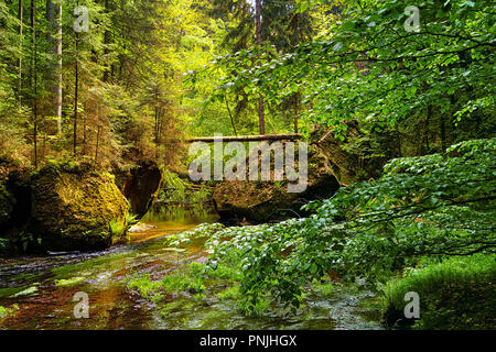 Little Creek in una profonda forrest con grandi rocce Foto Stock