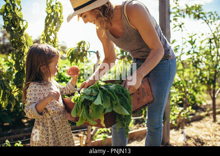 Bambina guardando le verdure fresche nel vassoio di una madre. Madre e figlia di fresco con ortaggi raccolti nel loro giardino. Foto Stock