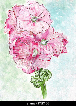 Illustrazione giovani fiori a campana con grandi e luminose colorate fioriture dei fiori su un gambo verde Foto Stock