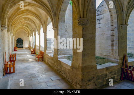 La Francia. Gard (30). Villeneuve-Les-Avignon. Chartreuse Notre-Dame-du-Val-de-Bénédiction. Il chiostro piccolo Foto Stock