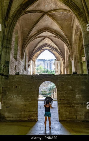 La Francia. Gard (30). Villeneuve-Les-Avignon. Chartreuse Notre-Dame-du-Val-de-Bénédiction. La chiesa Foto Stock