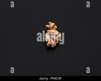 Isolato di radice di zenzero su uno sfondo nero in studio. Foto Stock