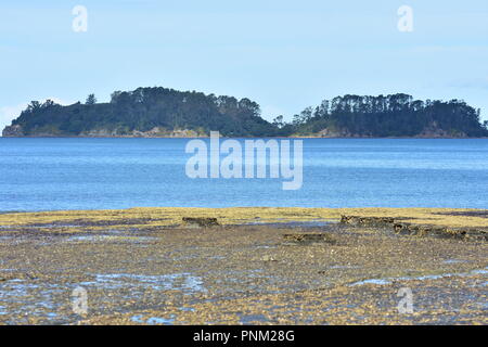 Vista della piccola isola su acqua blu dalla costa dove la bassa marea scopre piana piattaforme rocciose. Foto Stock