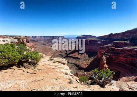 Il Grand Canyon con il sentiero di terra al fondo della valle Foto Stock