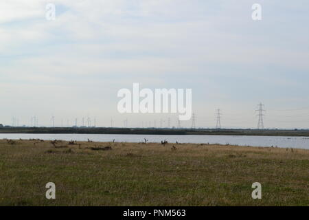 Tralicci di energia elettrica e di un lago in corrispondenza di campanatura, East Sussex, England, Regno Unito Foto Stock