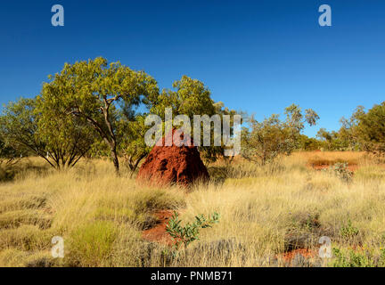 Red termite mound, golden erba secca, Karijini National Park, Australia occidentale Foto Stock