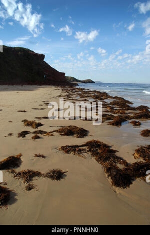 Smiths Beach, Phillip Island, Victoria, Australia. Foto Stock