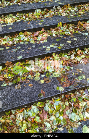 Caduti a secco di colore giallo e arancio foglie sul bagnato di gradini di pietra Foto Stock