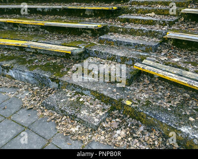 Passi concreti coperte di muschio e secco Foglie di autunno Foto Stock