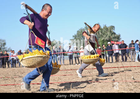 Zhangye, la Cina della provincia di Gansu. Xxi Sep, 2018. La popolazione locale prendere parte in un mais-concorso di trasporto durante la mietitura celebrazioni tenute a Liaoyan villaggio nel distretto di Ganzhou di Zhangye, a nord-ovest della Cina di Provincia di Gansu, Sett. 21, 2018. Credito: Wang Jiang/Xinhua/Alamy Live News Foto Stock