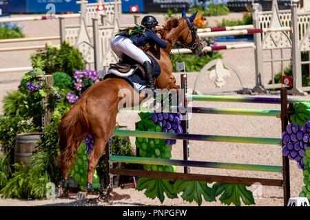 North Carolina, USA. Xxi Sett 2018. Danielle Goldstein. Lizziemary. ISR. Show Jumping Team & singoli campionato. Giorno 10. Giochi equestri mondiali. WEG 2018 Tryon. Carolina del Nord. Stati Uniti d'America. 21/09/2018. Credito: Sport In immagini/Alamy Live News Foto Stock