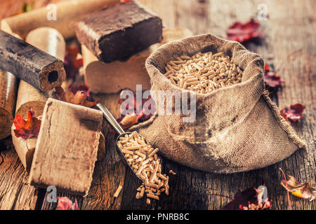 Premuto in legno agglomerati in forma di pellets e bricchetti da biomassa con foglie di autunno. Foto Stock
